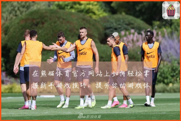 在熊猫体育官方网站上如何轻松掌握新手游戏技巧，提升你的游戏体验