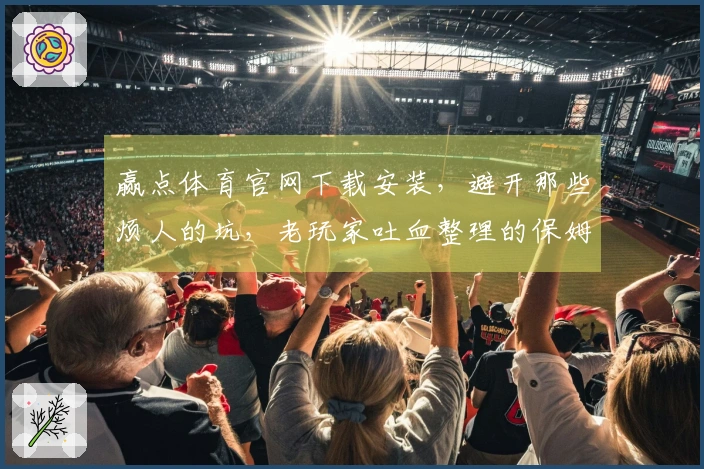 赢点体育官网下载安装，避开那些烦人的坑，老玩家吐血整理的保姆级指南